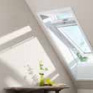 velux1